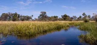 Shock at oil-gas prospecting plans for Okavango Delta and KgalagadiShock at oil-gas prospecting plans for Okavango Delta and Kgalagadi