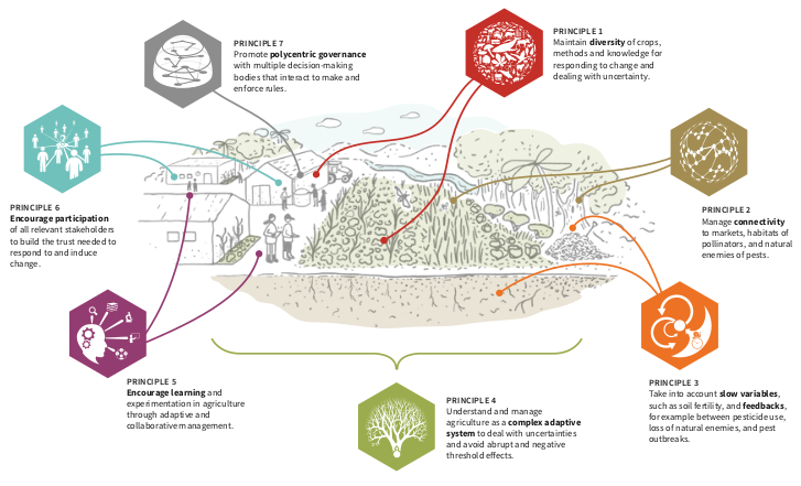 Smarter than Climate-Smart: Agroecological Strategies for Food Security in a Changing Climate Smarter than Climate-Smart: Agroecological Strategies for Food Security in a Changing Climate