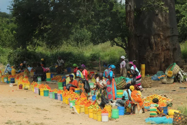 KelvinJM, CC BY-SA 4.0 <https://creativecommons.org/licenses/by-sa/4.0>, via Wikimedia Commons