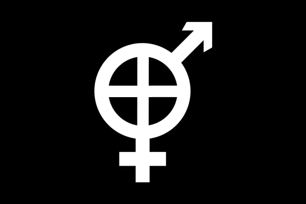 https://en.wikipedia.org/wiki/File:Proposed_gender_binary_flag.png
