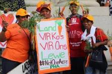 Victory in court for Philippi Horticultural Area 