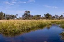 Shock at oil-gas prospecting plans for Okavango Delta and KgalagadiShock at oil-gas prospecting plans for Okavango Delta and Kgalagadi