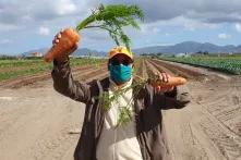 Carrots, not sticks: Nazeer Sonday. 