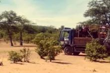Stop the Beifa Coal Project and the Persecution of the Dinde Community in Hwange, Zimbabwe