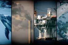 Illustrative image | Sources: Unsplash / TI Fitzsimmons | Unsplash / Chris Leboutillier | EPA/PAUL BUCK | Unsplash / Sebastian Pena 