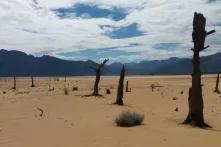 Drastic warming and increased droughts were already registered in southern Africa.