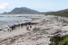 Protecting the Western Cape’s natural assets – including the pristine coastline along Betty’s Bay – has the potential to create jobs while ensuring planetary survival