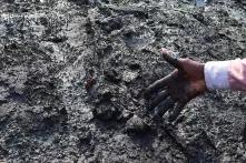 Oil spill in Ogoniland in 2020 . Photo by: Youths and Environmental Advocacy Centre (YEAC), Niger Delta, Nigeria