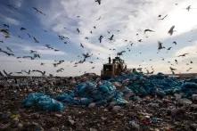   Landfill sites like the Coastal Park landfill in Muizenberg are not often thought of as public space, but they are one of the best mirrors of our relation to the public realm