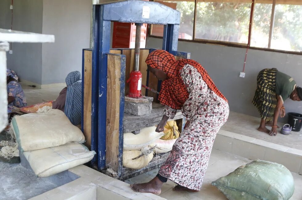 Building Alliances and Changing Policies: Women Farmers in Nigeria respond to the Climate Crisis