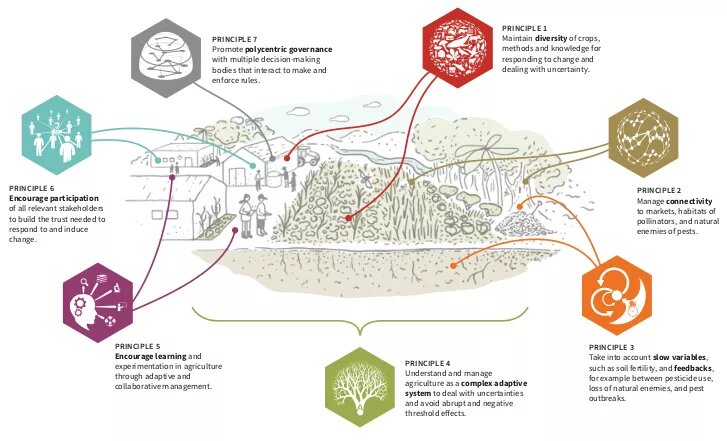 Smarter than Climate-Smart: Agroecological Strategies for Food Security in a Changing Climate