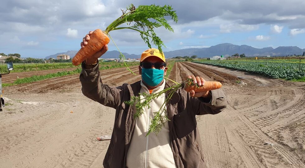 Carrots, not sticks: Nazeer Sonday. Carrots, not sticks: Nazeer Sonday.