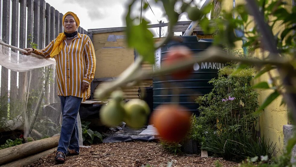 Zainap Salie worked with her neighbours and the Salt River Community Action Network to clean up a lane of dumped rubble behind her home and turned it into an urban garden.