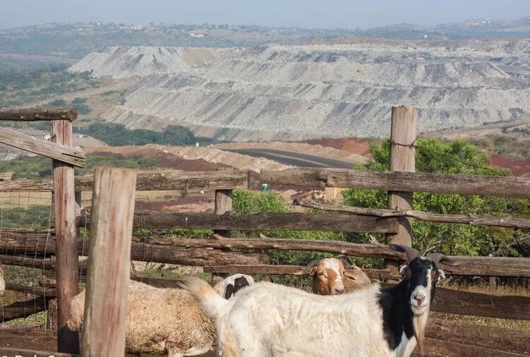 Mining impacts subsistence agriculture which is primarily a domain run by women in rural areas.