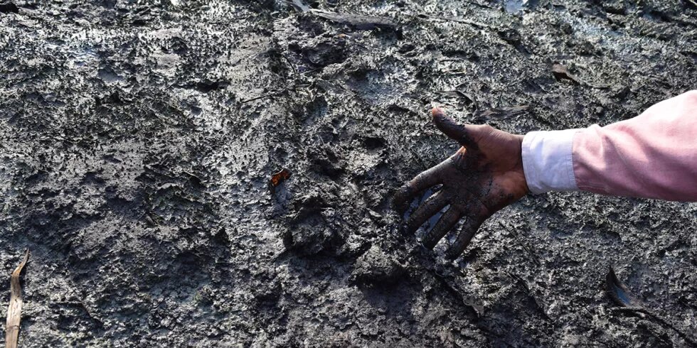 Oil spill in Ogoniland in 2020 . Photo by: Youths and Environmental Advocacy Centre (YEAC), Niger Delta, Nigeria