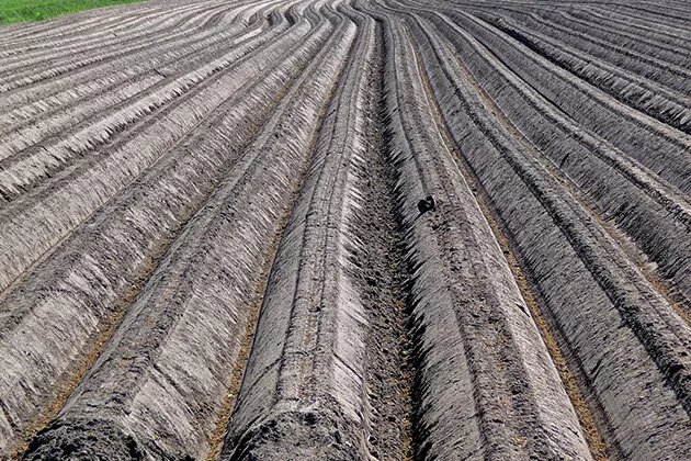 A close-up view over the long lines in the soil of the fields. A close-up view over the long lines in the soil of the fields.