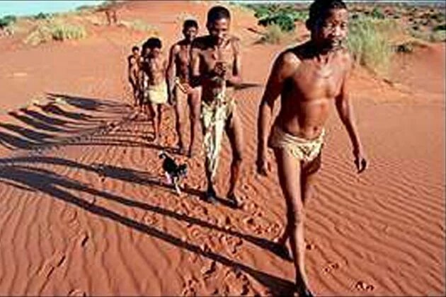 The Khoi and San People: Rooibos Restitution The Khoi and San People: Rooibos Restitution