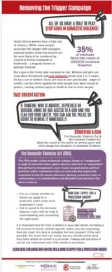 Guns and Domestic Violence a Practical Guide