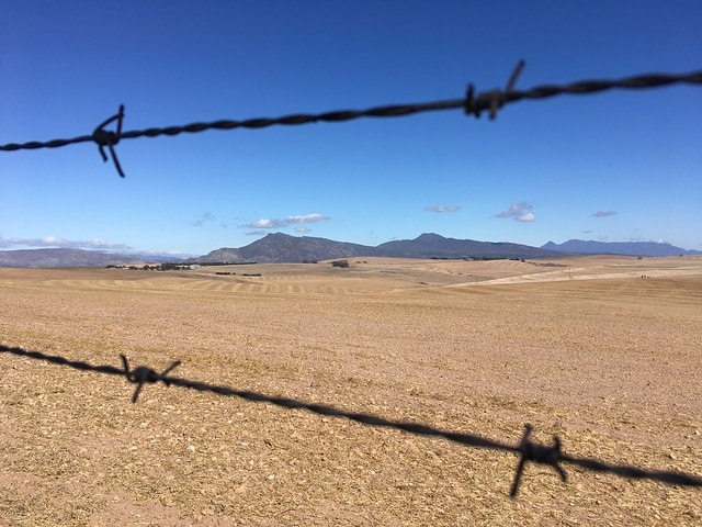Resolving South Africa’s land crisis in South Africa requires radical solutions