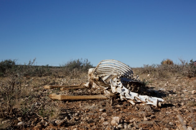 Climate Change Linked Drought Drives Karoo to Collapse Climate Change Linked Drought Drives Karoo to Collapse